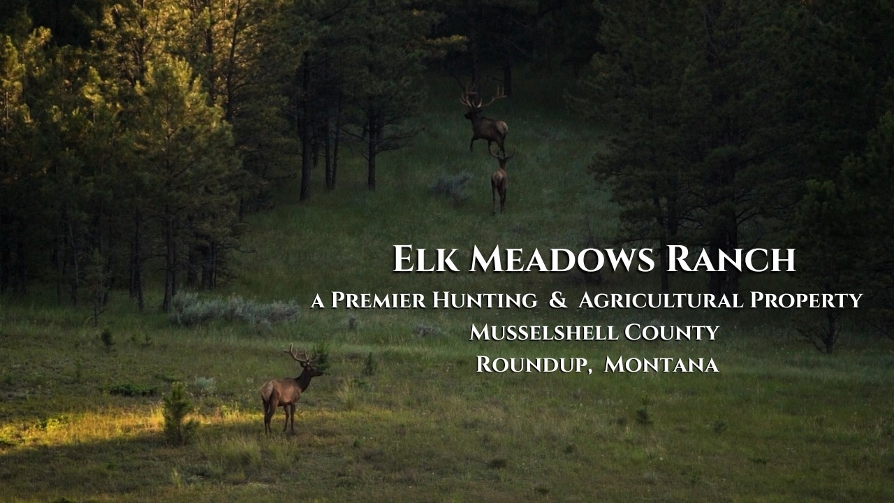Elk Meadows  - a Premier Hunting & Agricultural Property