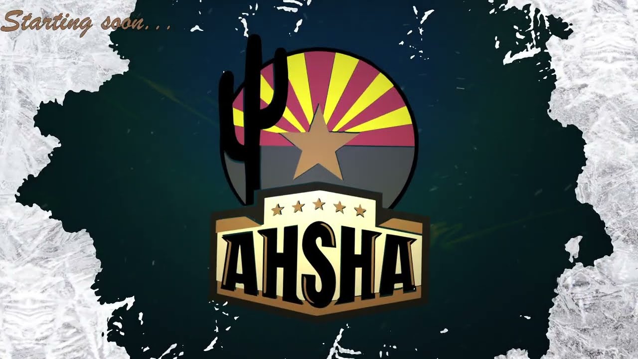 AHSHA D1: Basha Perry vs Mountain Ridge