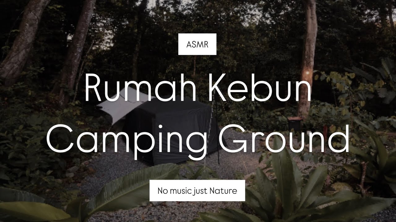 ASMR: Rumah Kebun Camping Ground (RKCG) | No music, just nature.