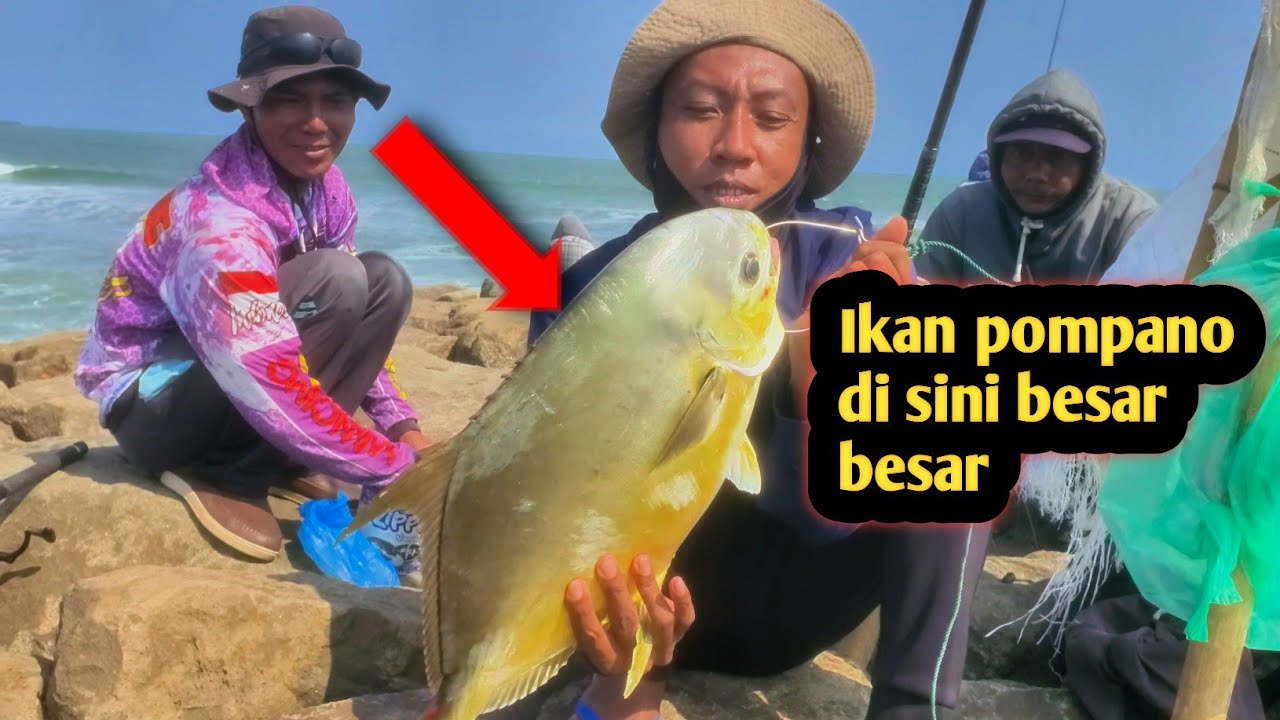 Mancing ikan pompano di pantai lengkong cilacap