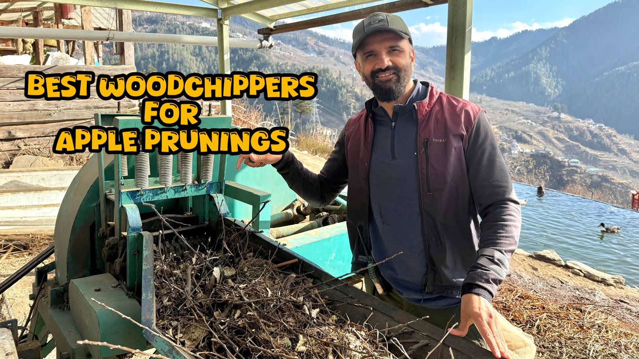 Which Woodchipper to Buy for Apple Prunings | Don’t Burn, Make Compost