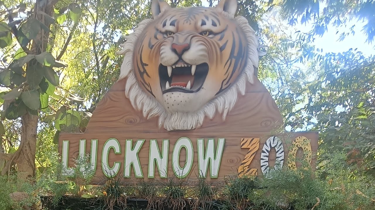 चिड़िया घर सारे जानवर 🐍🐯🪿🦬🦣🦍🐢🦕