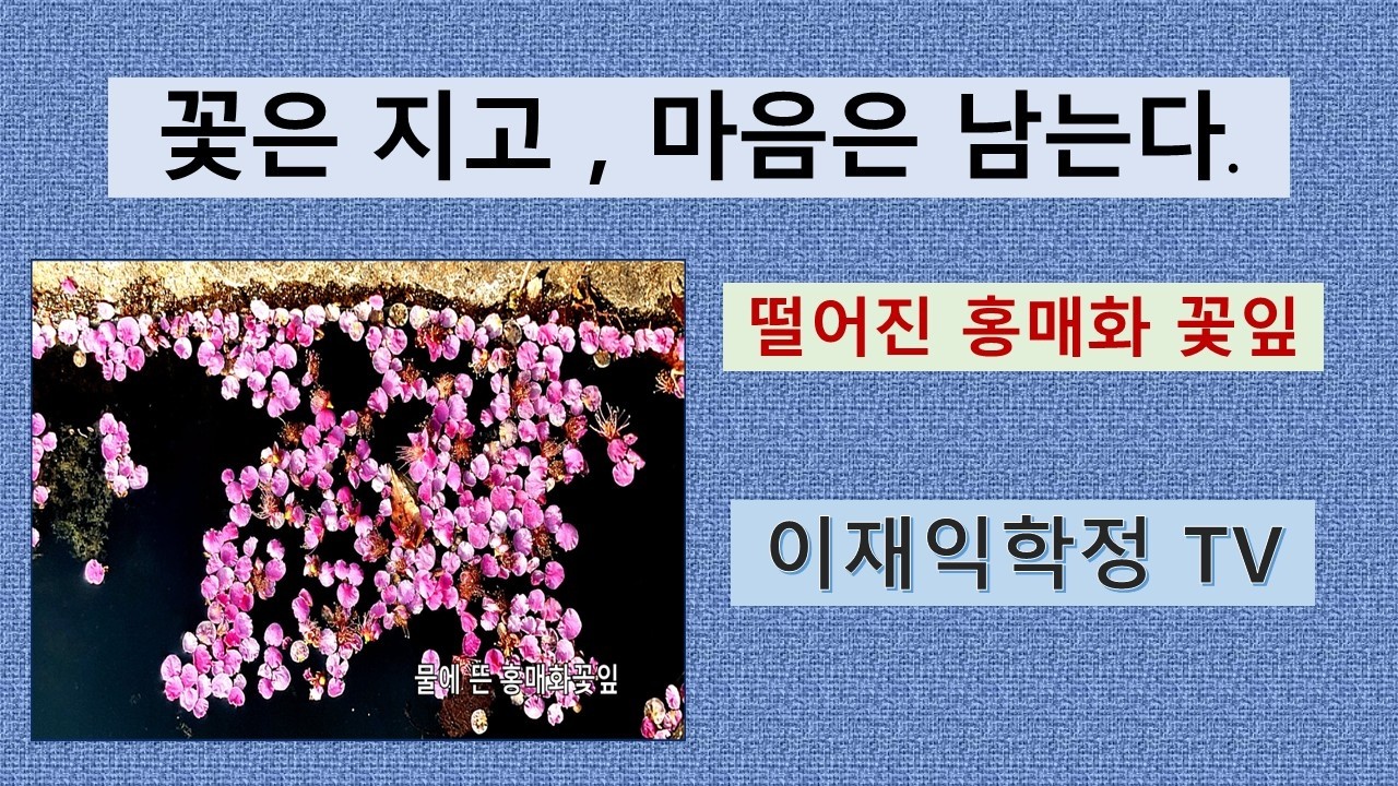 꽃은 지고 마음은 남는다