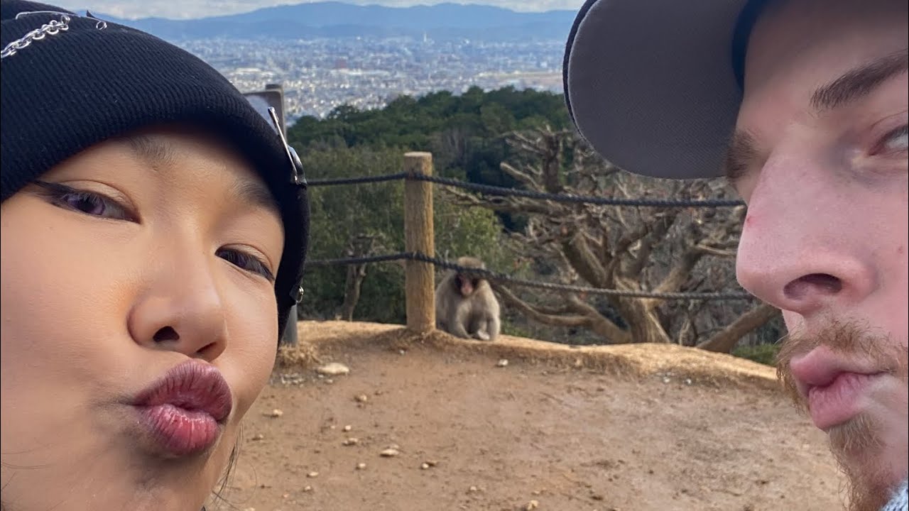Monkey Park Kyoto & Bamboo Forest - WORTH it or NOT?? | Japan Vlog, food reviews