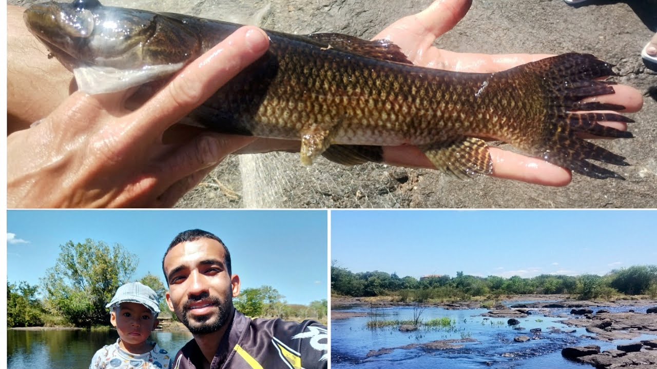 Pescaria, Peixe assado tem vida melhor?? 