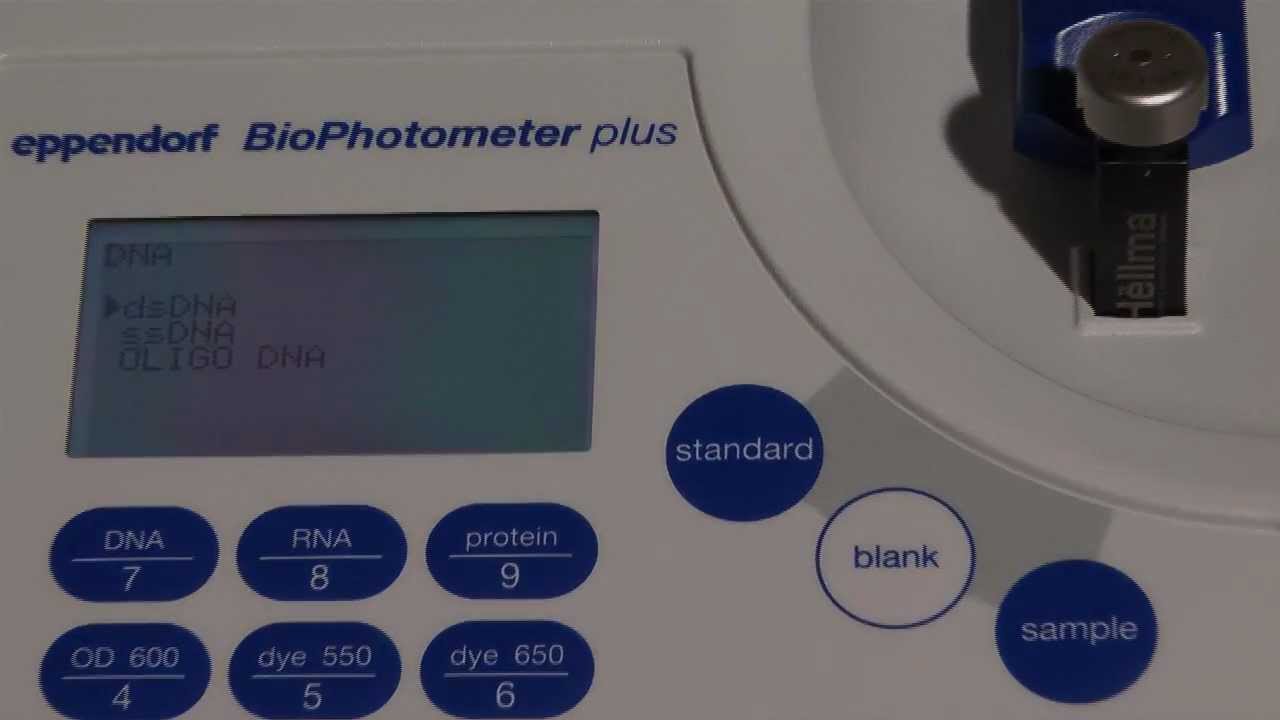 Using the Hellma® TrayCell™ with the Eppendorf BioPhotometer plus™ – 1mm lightpath