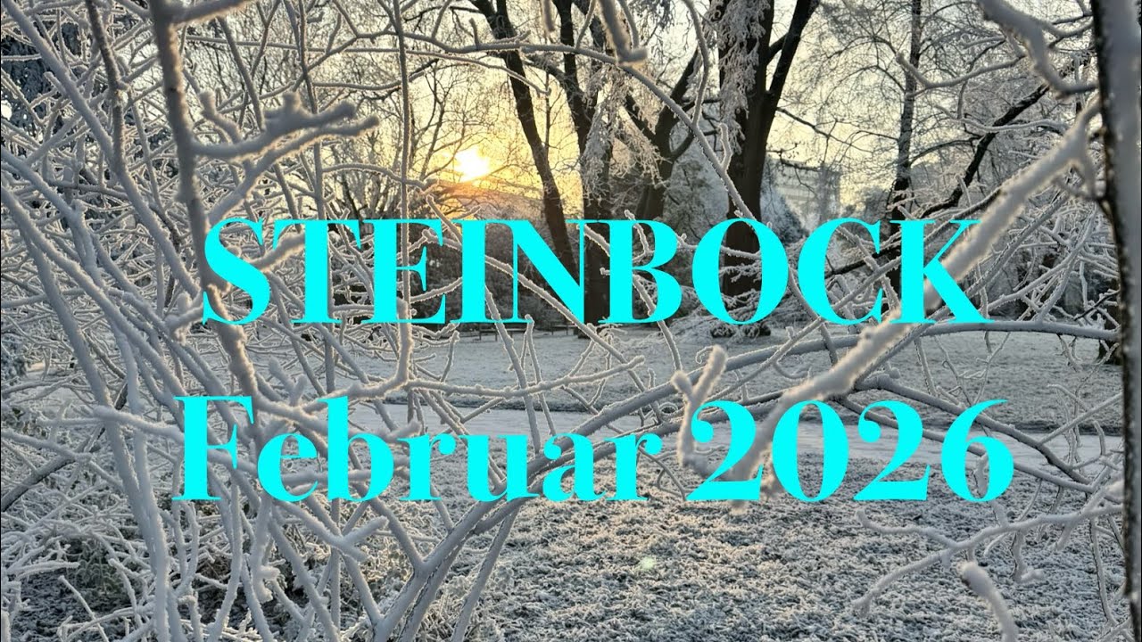 Steinbock im Februar 2026: Die friedliche Lösung