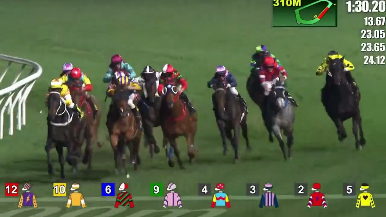 2026 02 04 跑馬地 全晚賽事 一鍵重溫