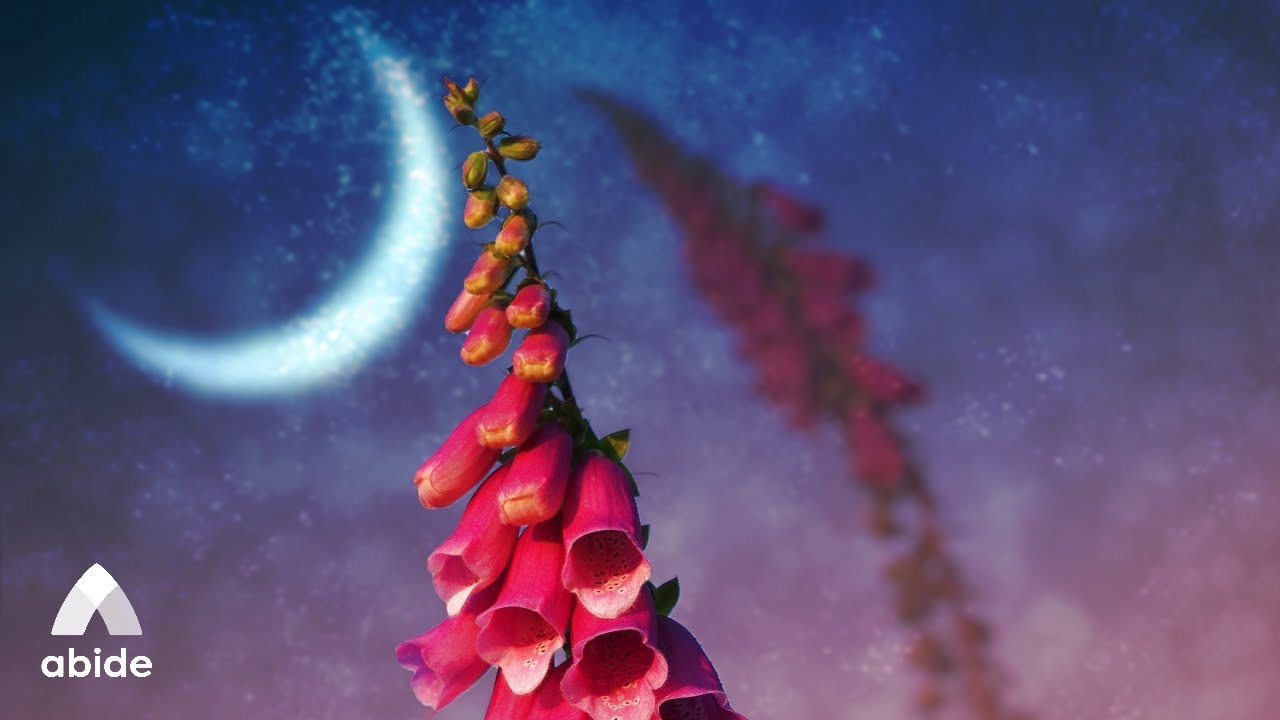 Let Go: Jesus Take the Reins | Bible Sleep Meditation To Let Go of Fear, Anxiety & Stress Before Bed