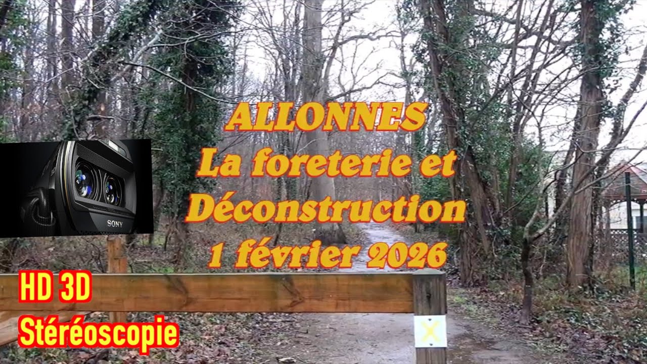 2026   HD 3D   ALLONNES Au jour le jour   1 février
