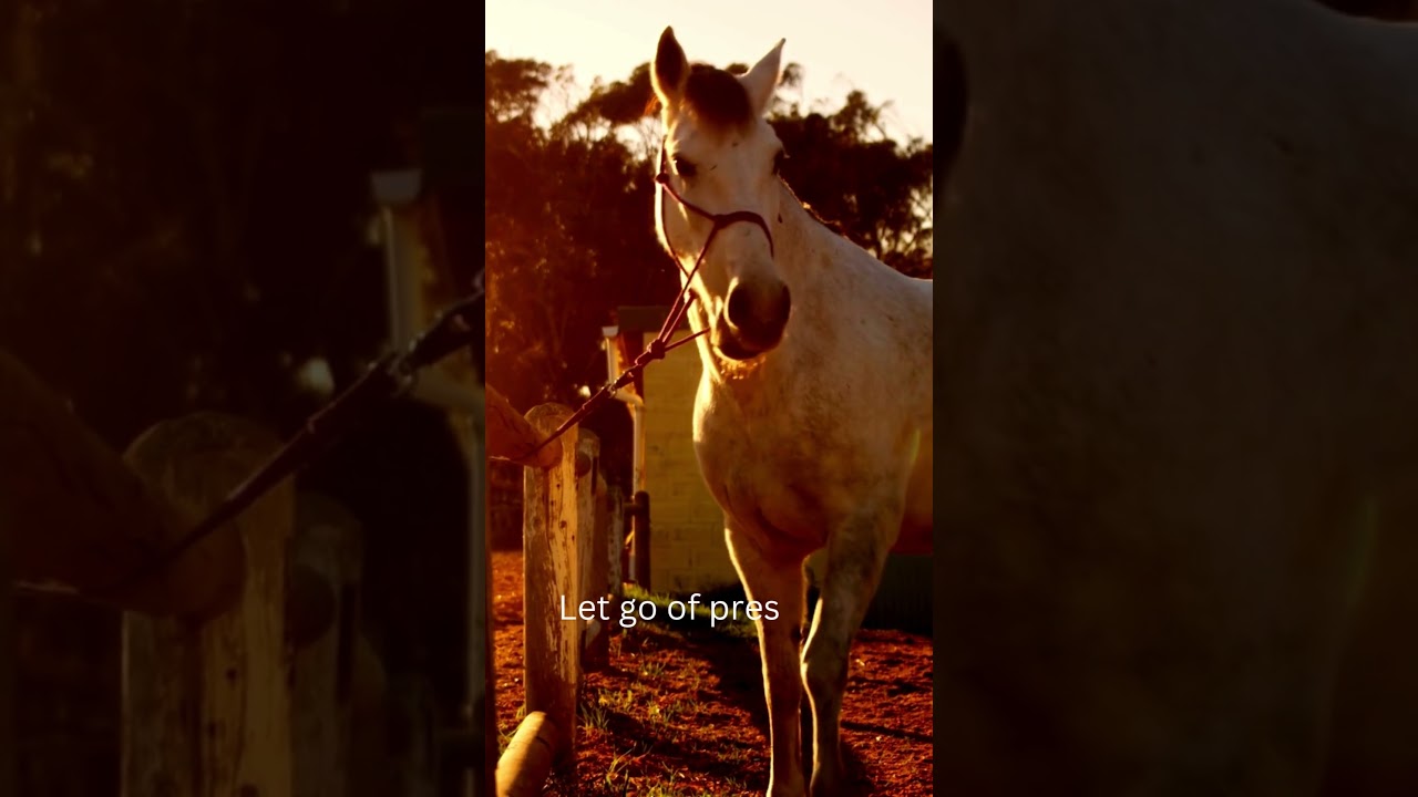 Feel the Peace 🌾 | One of the Best Country Songs to Relax With 