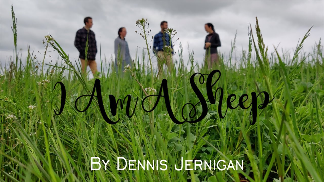 I Am A Sheep