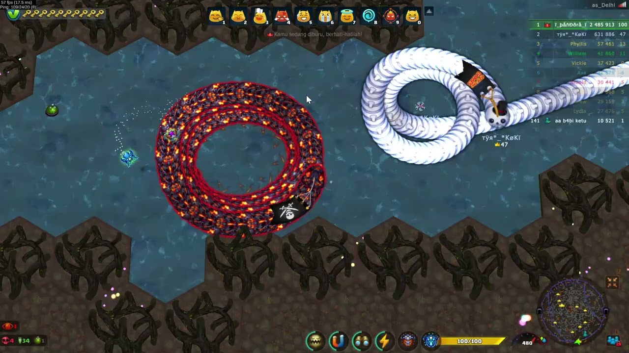 Little Big Snake  farm 4m
