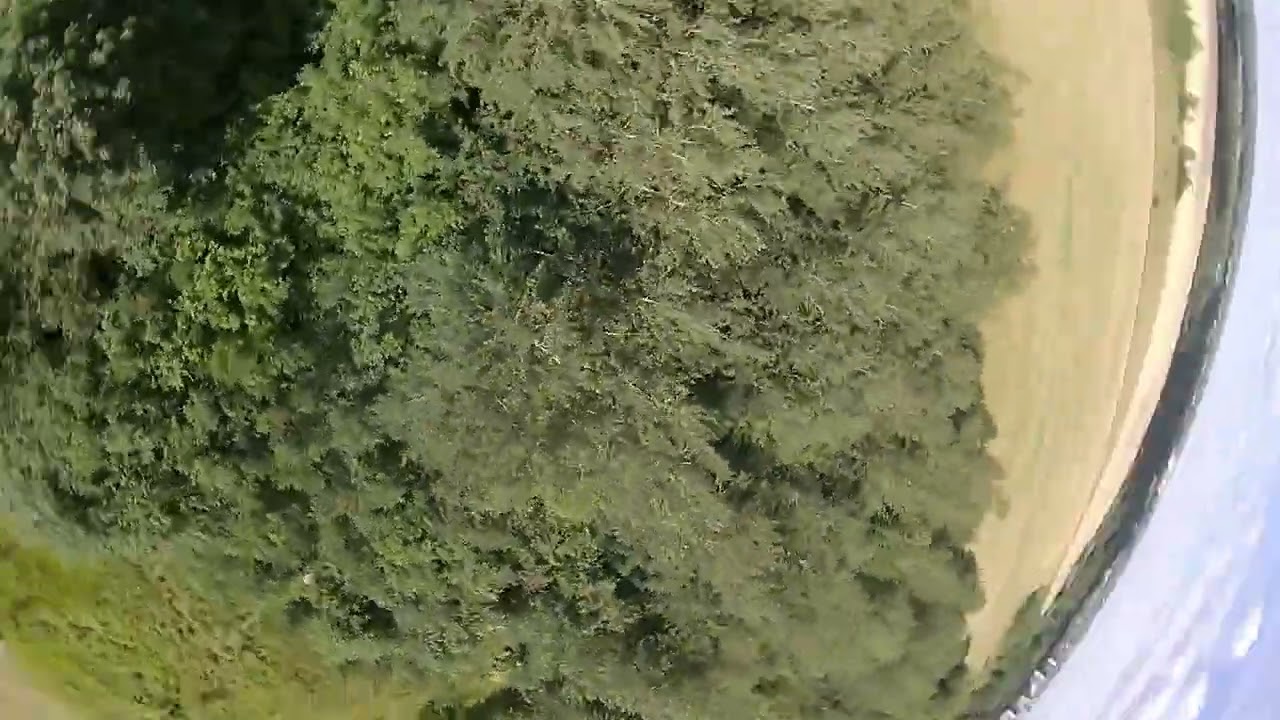 Повезло (Drone Crash AtomRC Dolphin)