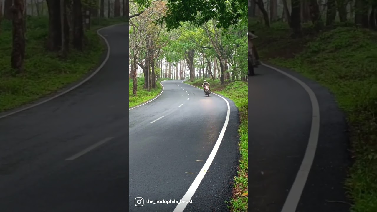 wayanad road to Bangalore #bike #road #road trip #bullet #350 #wayanad #wayanadtrip #nature