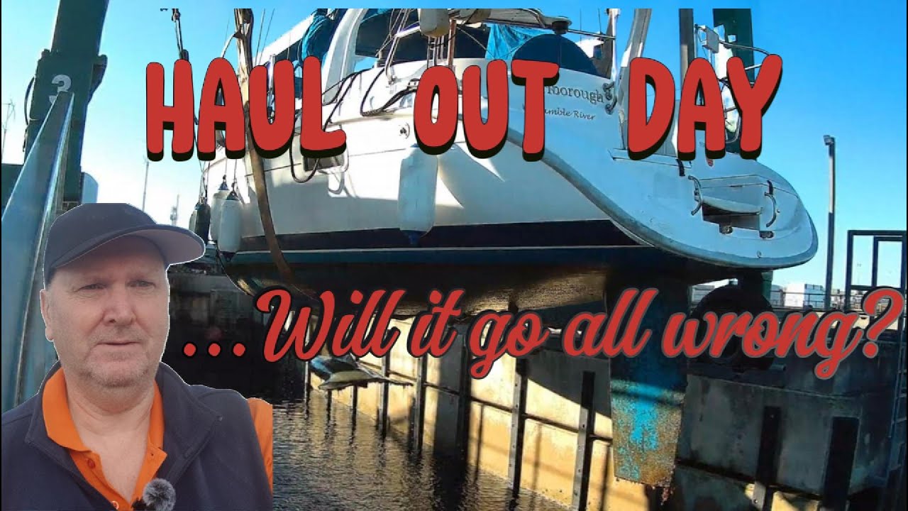 It's Haul Out Day! ...will it go all wrong?