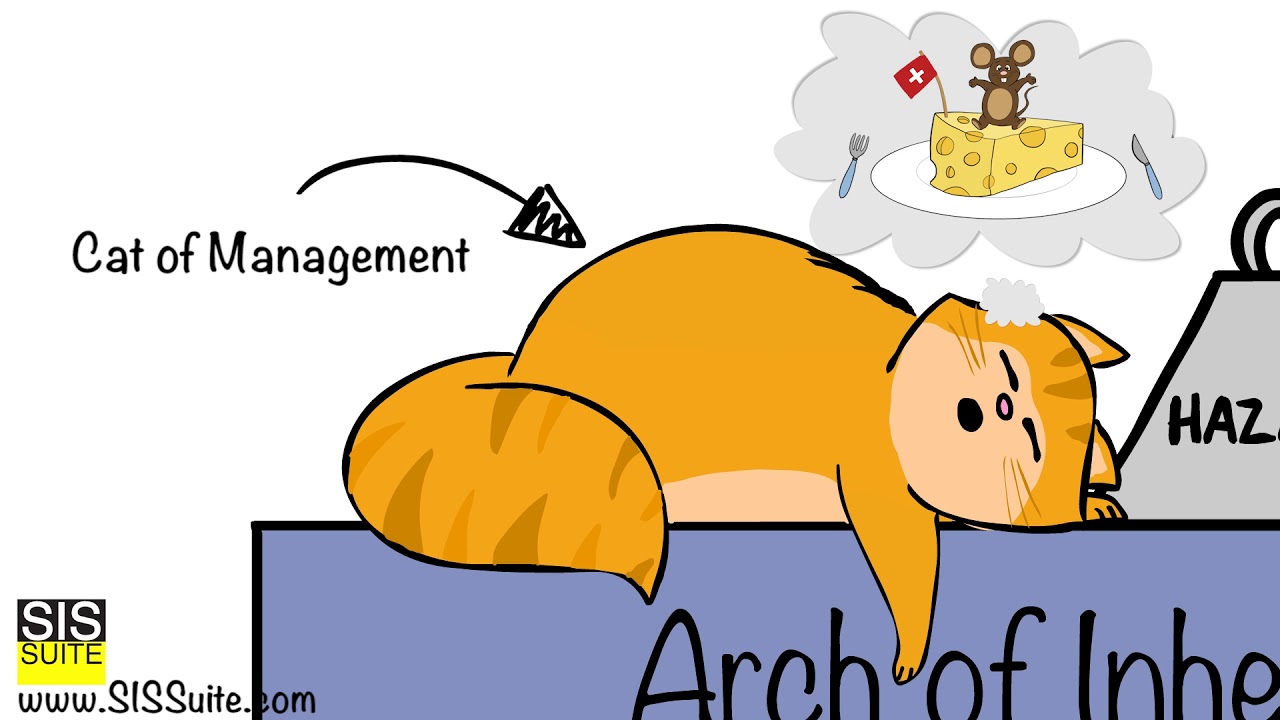 Suspended Load Model  with Cat of Management