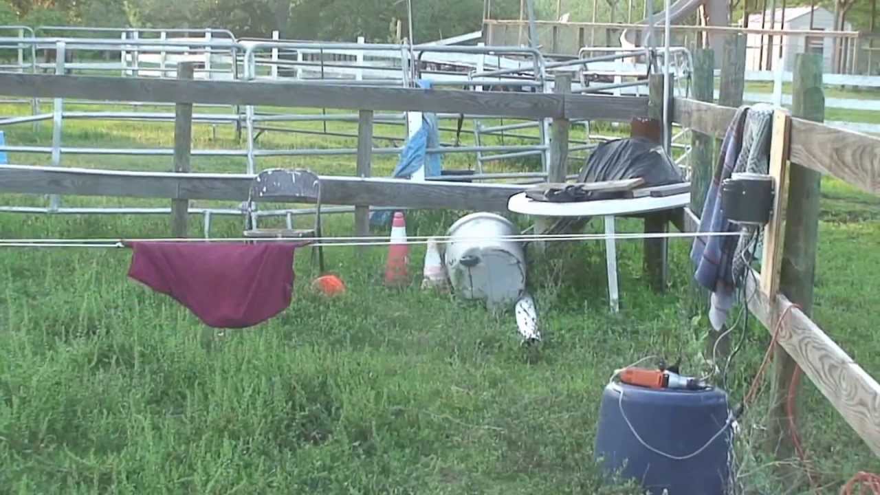 homemade mechanical cow....with small pulley