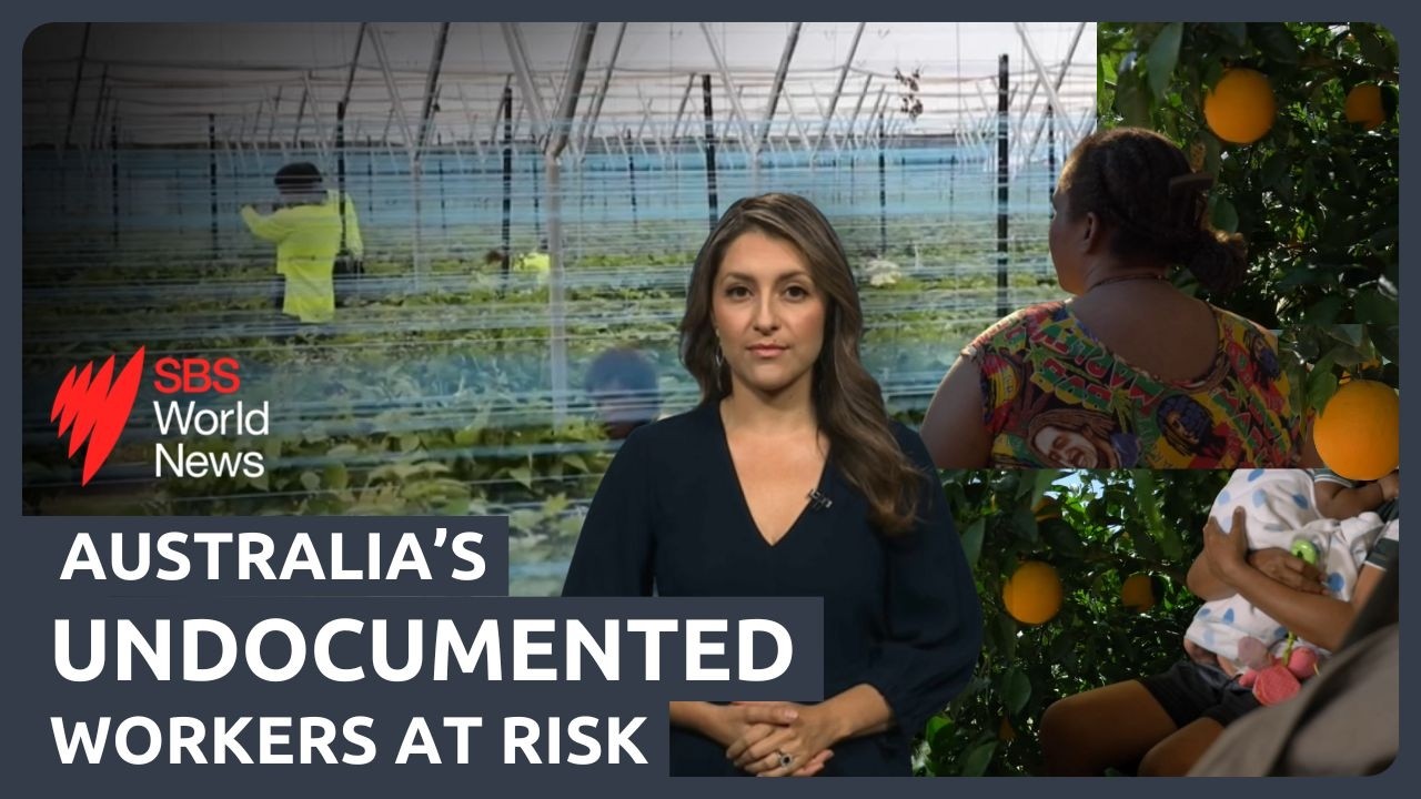 'Caught in a trap': Australia's invisible workforce at risk of exploitation&nbsp;| SBS News