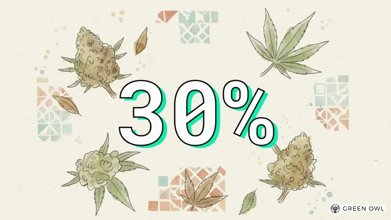 KETAMA CBD by Green Owl : signature marocaine, r&eacute;gularit&eacute; & COA