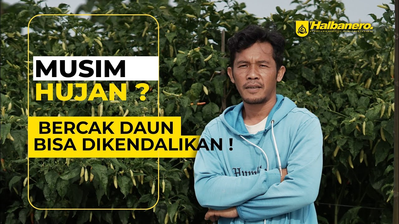 RAHASIA PERAWATAN DI MUSIM HUJAN, TEMBUS HINGGA 500KG ❗❗❗
