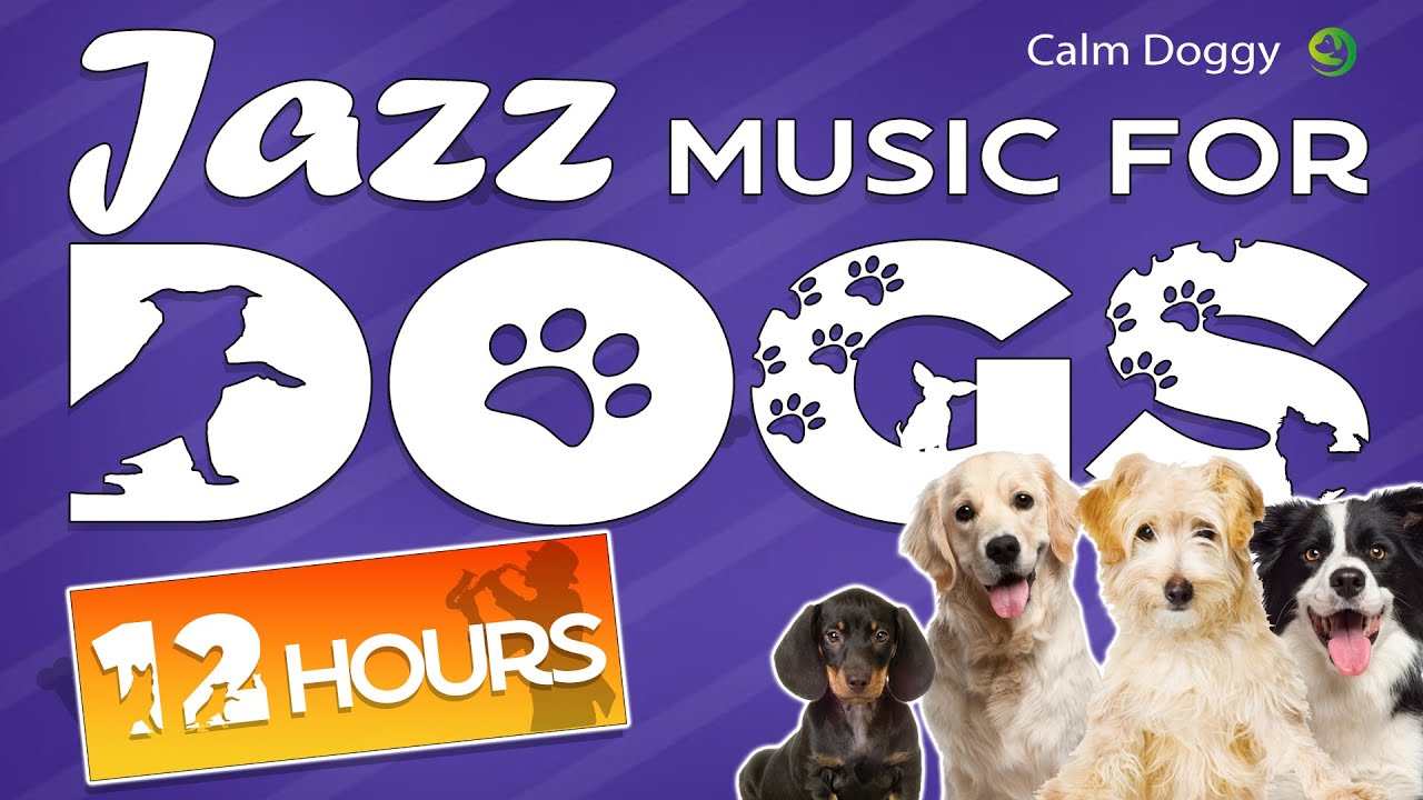 Jazz Music For Dogs - Relaxing Dog Music To Calm Anxiety  - 12 Hours!