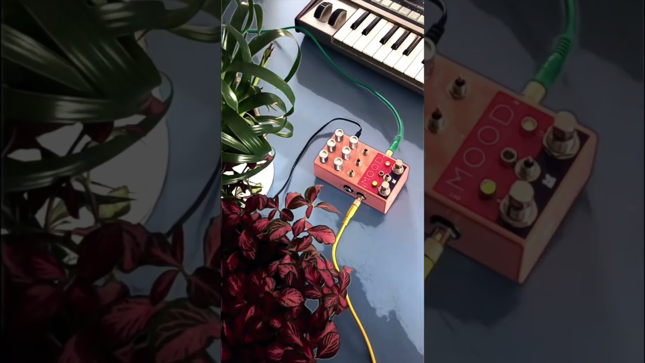 Creating an #ambient tapeloop with Microkorg and the Mood by @ChaseBlissAudio