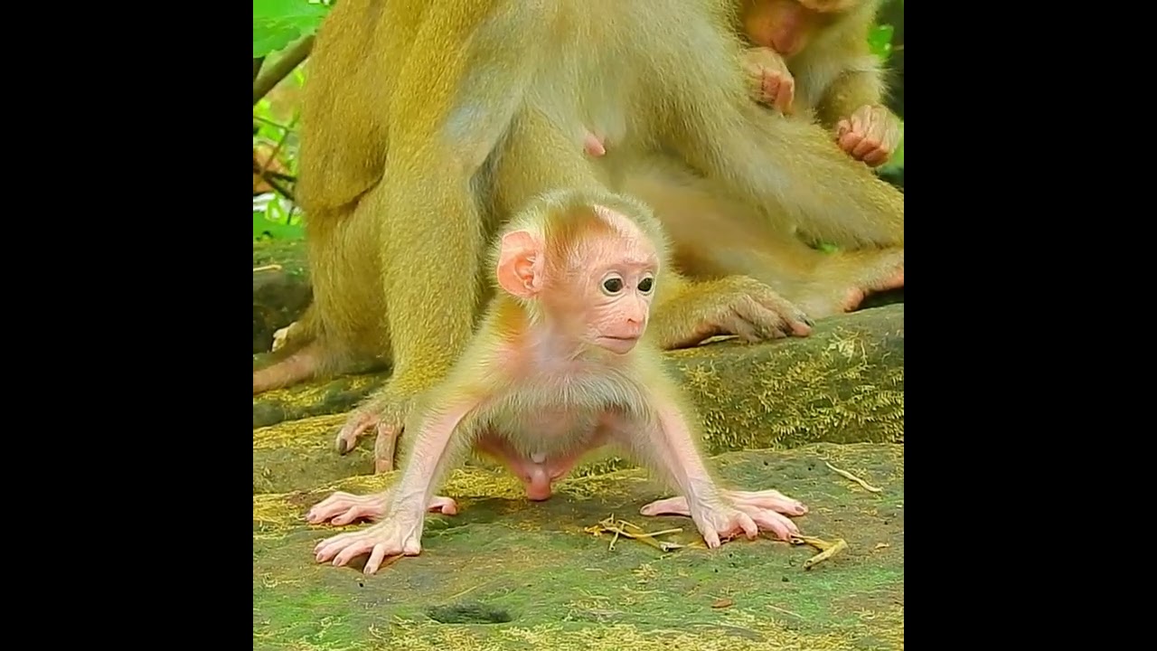 So pretty baby Luno body grow strong learn walking