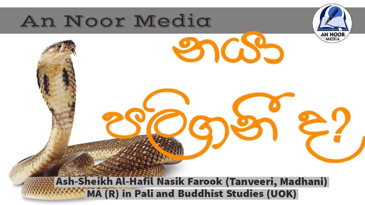 නයා පලිගනී ද? | Sinhala Bayan-An Noor Media|