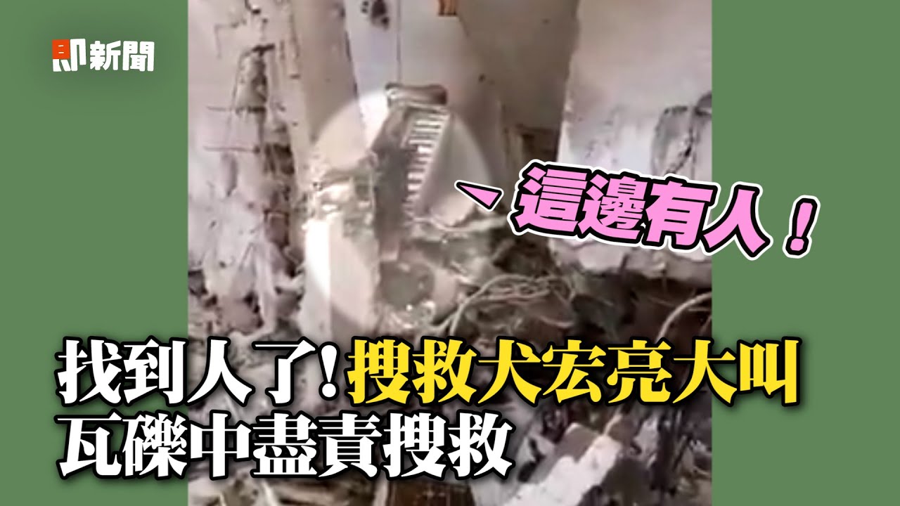 #土耳其 #地震 / 找到人了！搜救犬宏亮大叫 瓦礫中盡責搜救畫面曝光