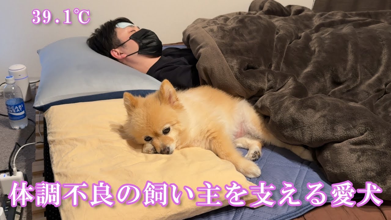 体調不良の飼い主を心配する愛犬の姿に、胸が締め付けられました&hellip;