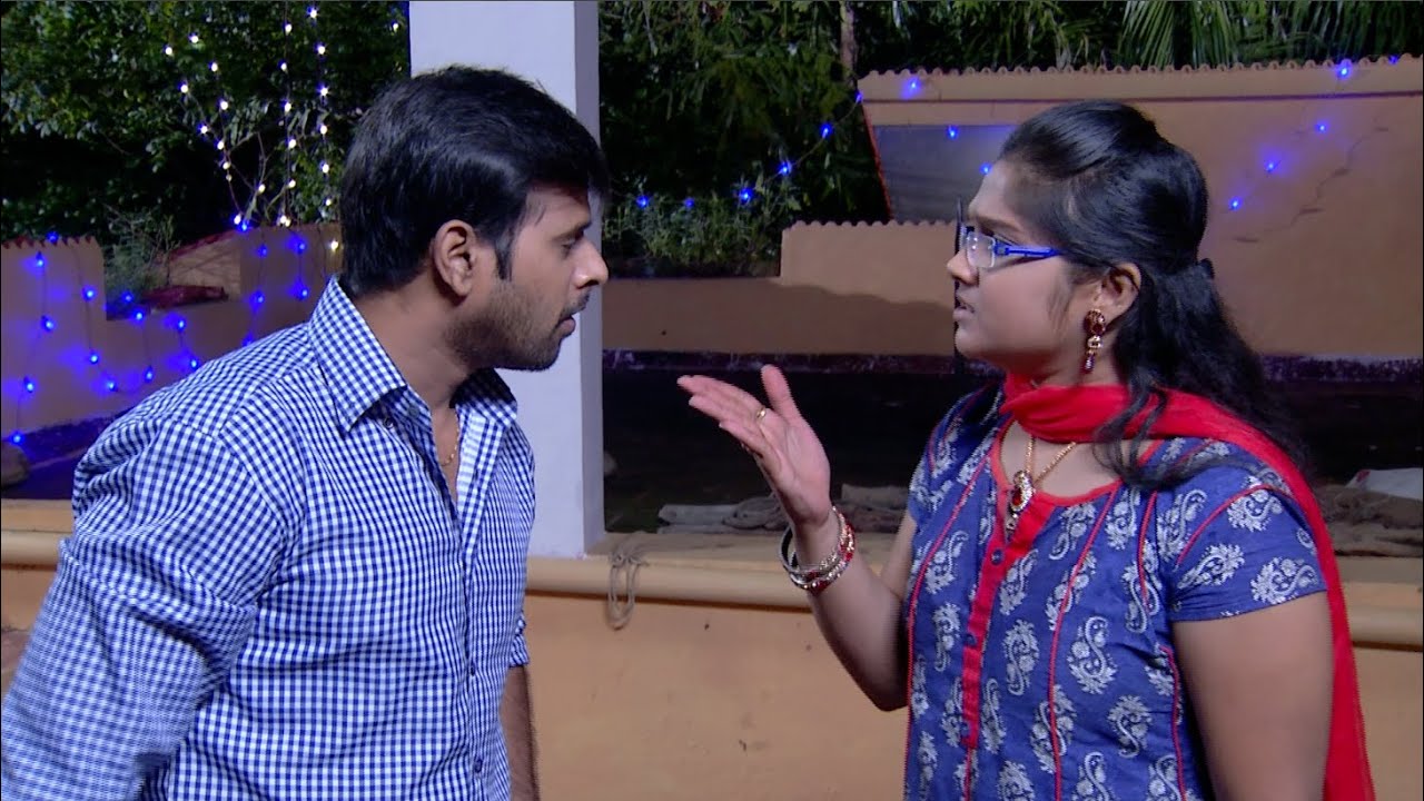 Priyamanaval Episode 254,  20/11/15