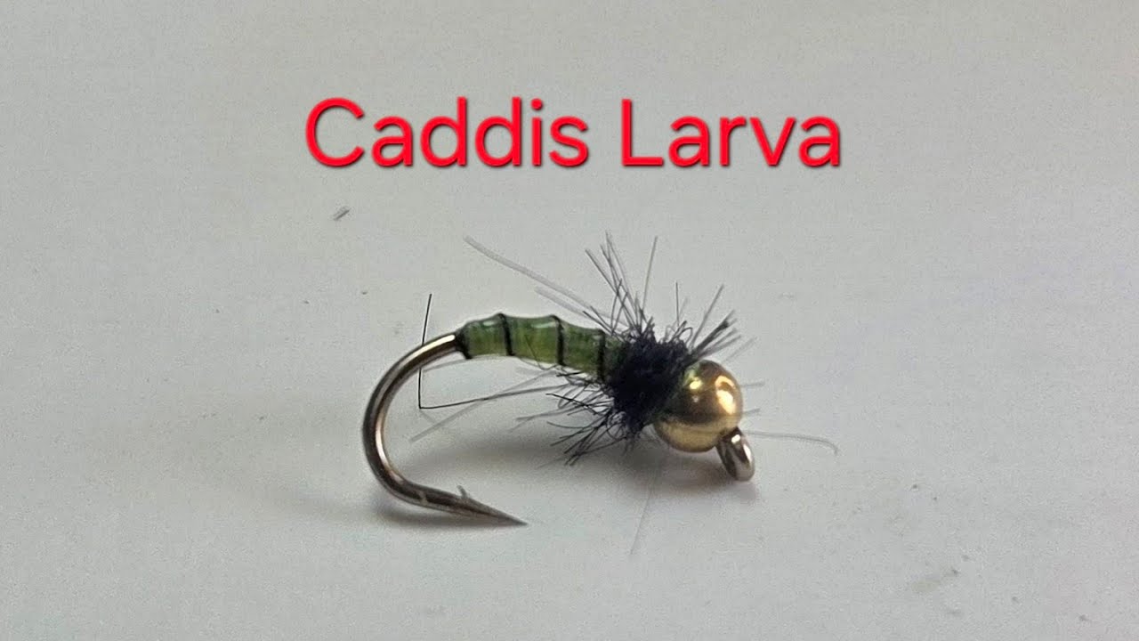 Easiest Caddis Fly Larva for Trout - Fly Tying