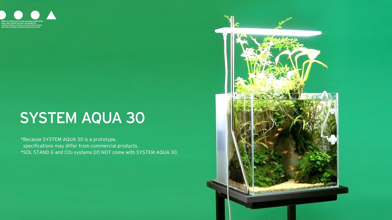 [ADAview] DOOA System AQUA30 Layout Making
