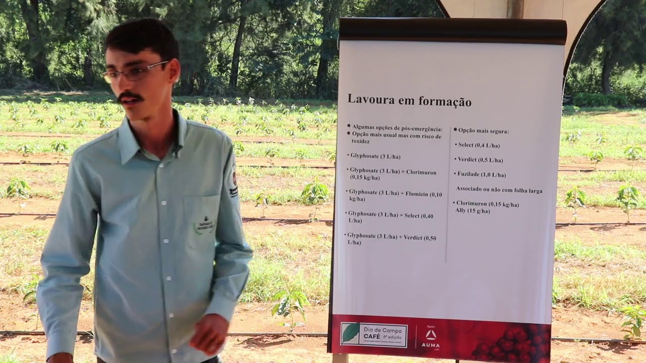 #Herbicidas e #Mulching no controle de Daninhas em #café  Victor Gonçalves Dia de Campo Fazenda AUMA
