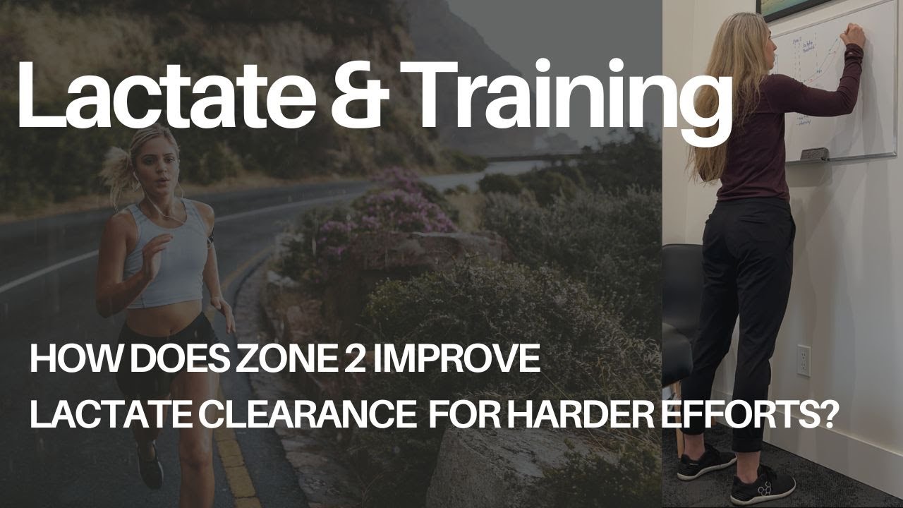 Lactate & Training: Why Zone 2 Improves Our Lactate Clearance Capacity In Higher Zones