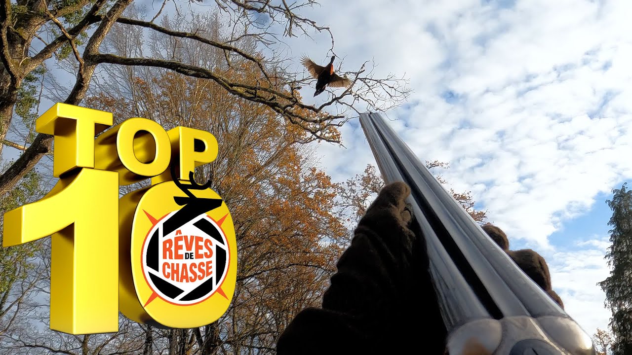 Top 10 Rêves De Chasse n°11 - Septembre 2023 - Edition spéciale "Petit gibier"