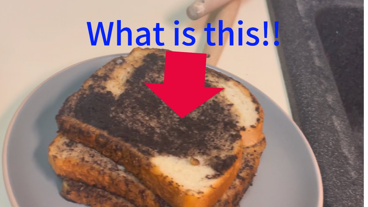 ￼￼Can somebody please show Willy how to make French toast (Willy’s cooking show Ep1