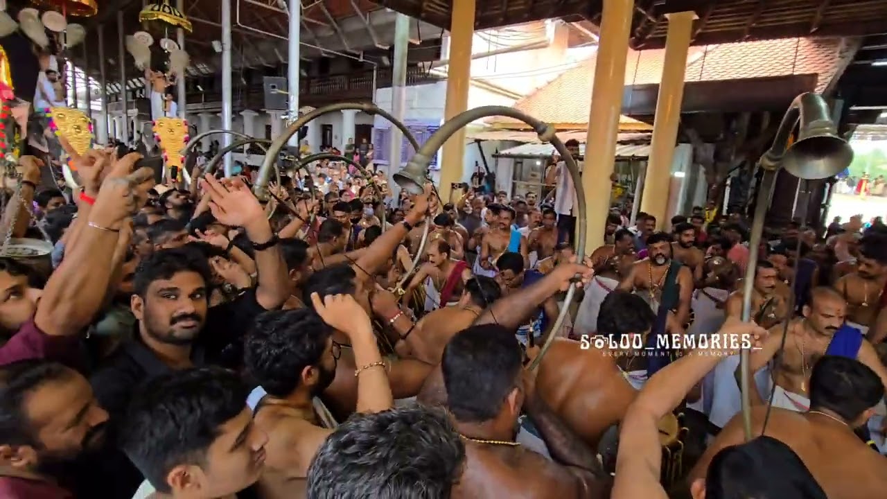 CHERANALOOR SANKARANKUTTY MAARAR #keralatemplefestival #elephant #ulsavam 