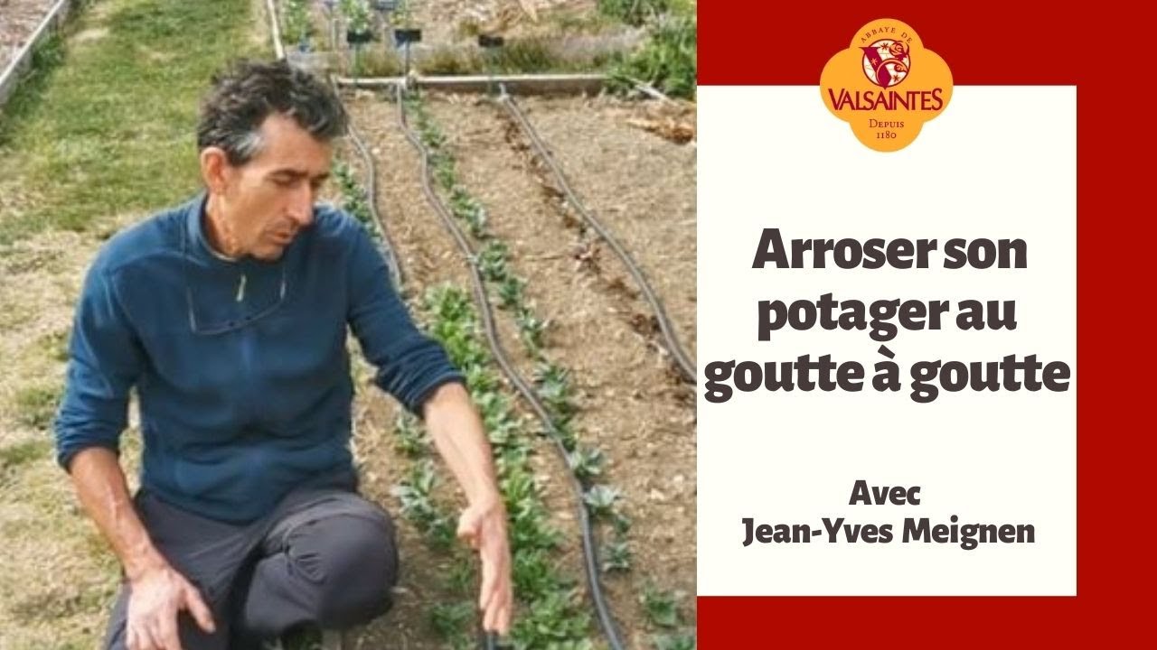 Arroser son potager au goutte à goutte