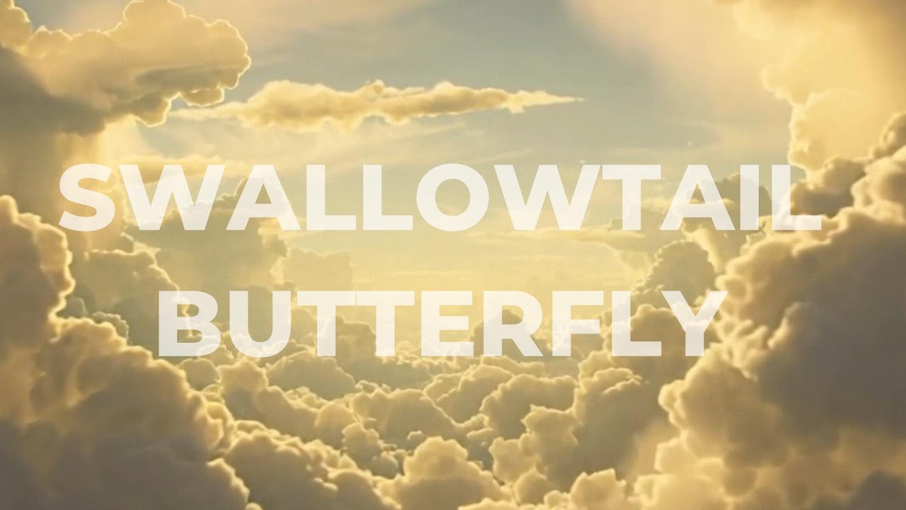 Swallowtail Butterfly (#jazzhop  × #lofi  × #downtempo ) | YEN TOWN BAND — Eng #cover