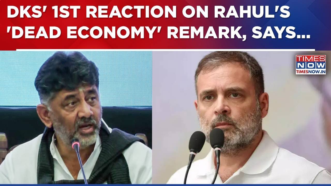 DK Shivakumar's First Reaction On Rahul Gandhi's 'Dead Economy' Remark: 'Don't Know In What...'