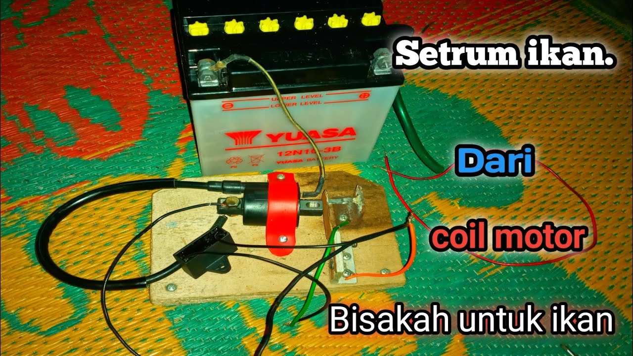 CARA Membuat //Setrum ikan dari coil motor super mantap