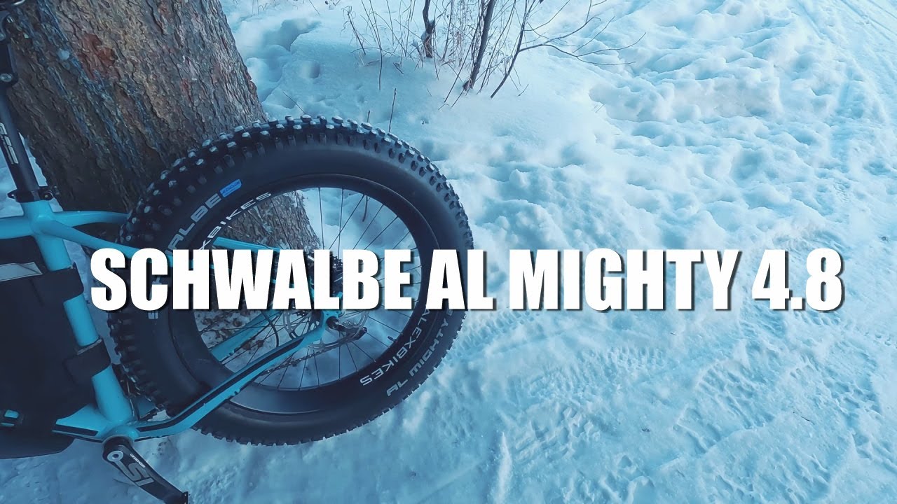 Отзыв о новинке SCHWALBE AL MIGHTY 4.8