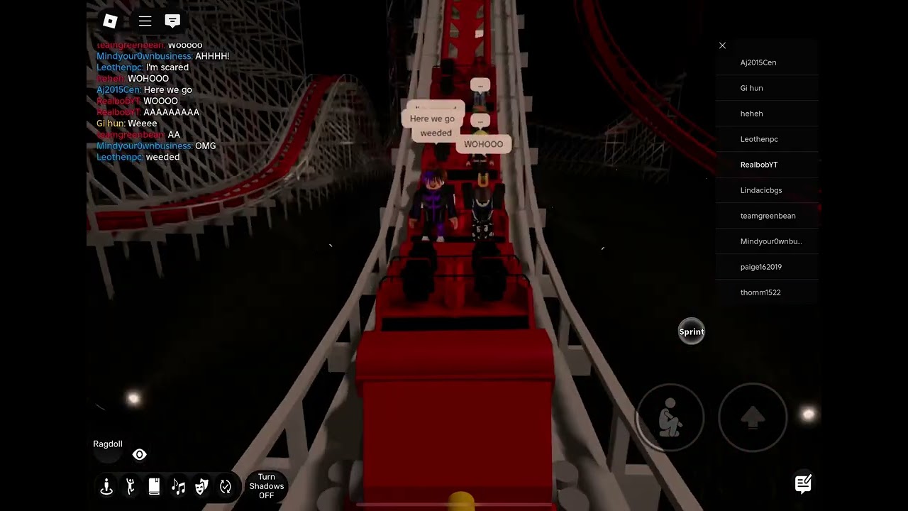 FD3 {ROLLER COASTER SENCE}