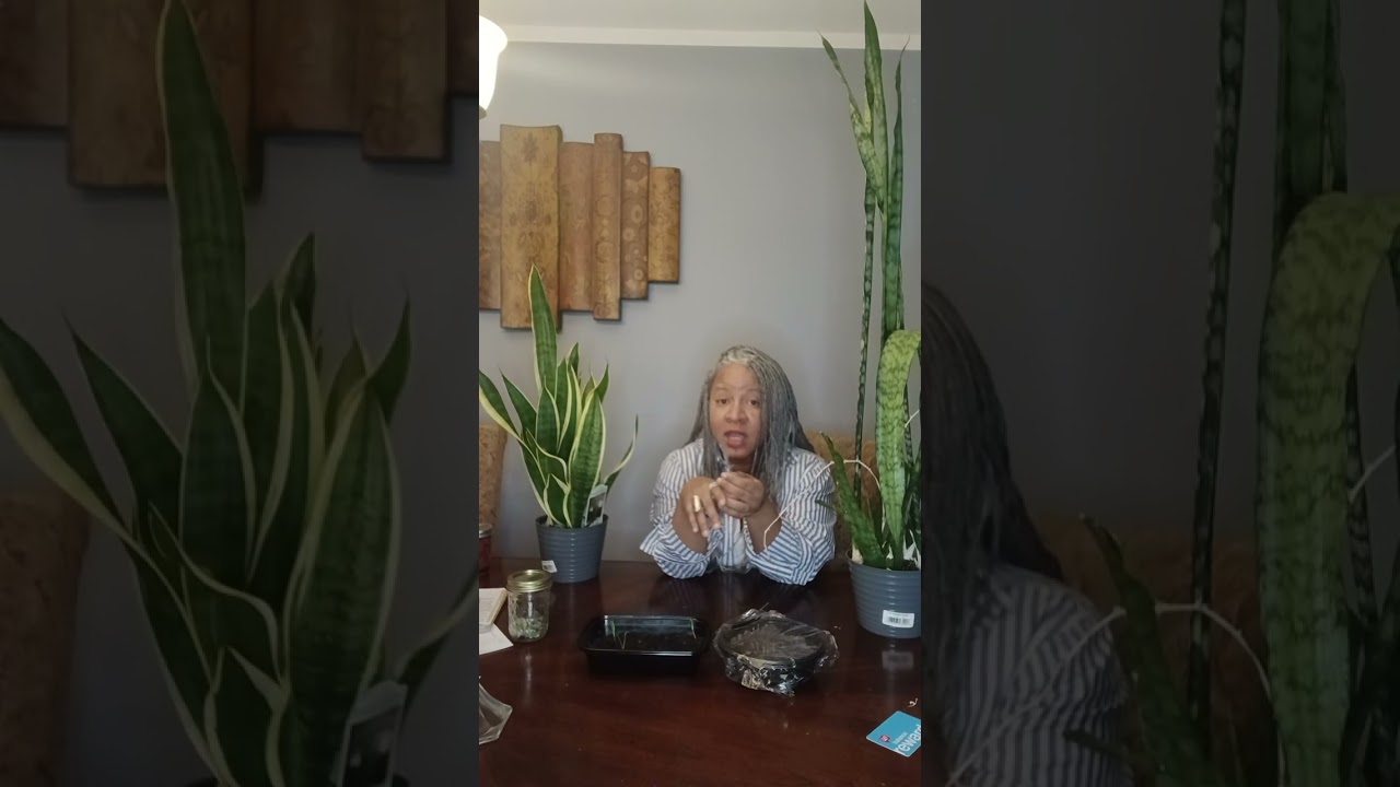 Indoor Gardening 