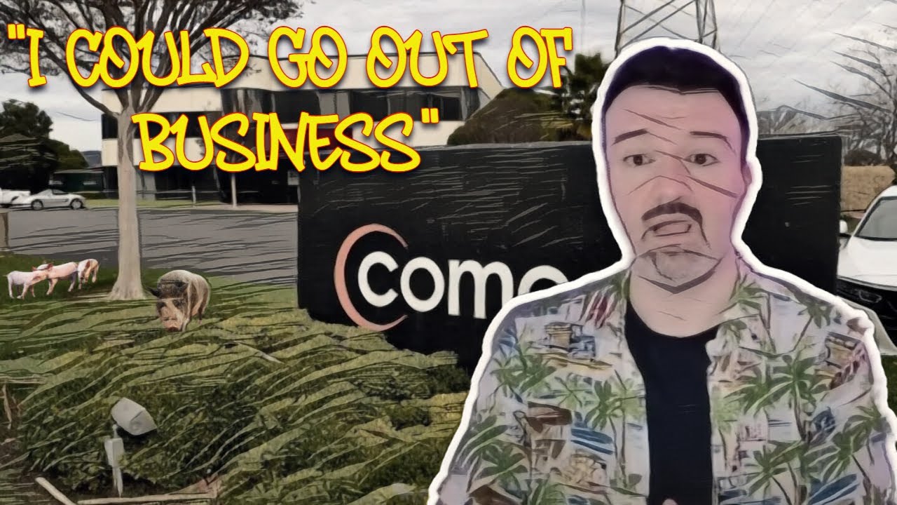 Заставят ли отключения Comcast Dents сломаться Pignosis? DSP угрожает судебным разбирательством!