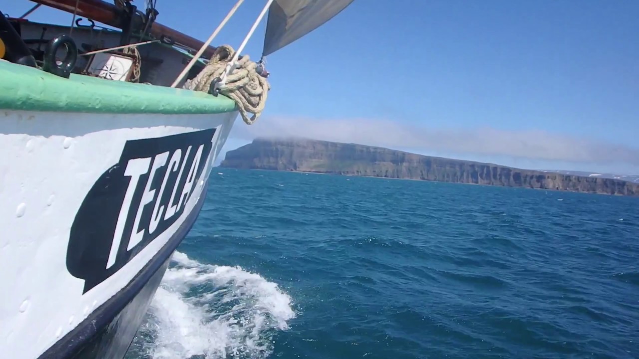 Sailing Iceland on board Tecla