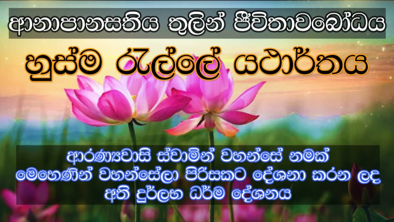 605 : ආනාපානසතිය තුලින් ජීවිතාවබෝධය කරා | හුස්ම රැල්ලේ යථාර්තය