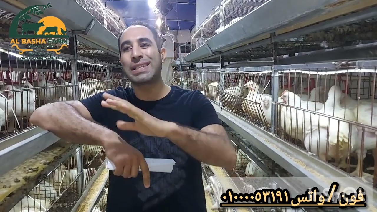زيادة الاسهالات بسبب لخبطه التحصين#foryou #trending